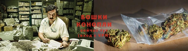 дживик Богородицк