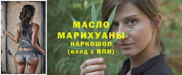 дживик Богородицк