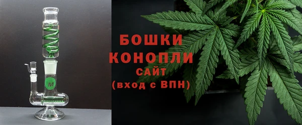 дживик Богородицк