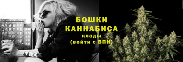 дживик Богородицк