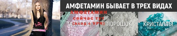 прущие грибы Баксан