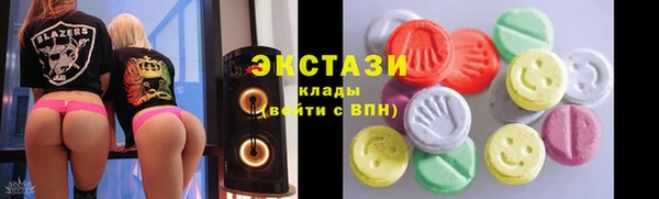 дживик Богородицк