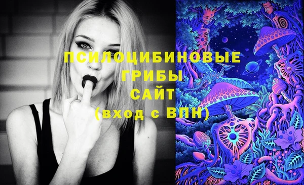 дживик Богородицк