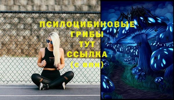 синтетический гашиш Богородск