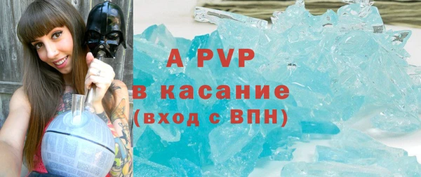 дживик Богородицк