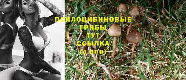 синтетический гашиш Богородск